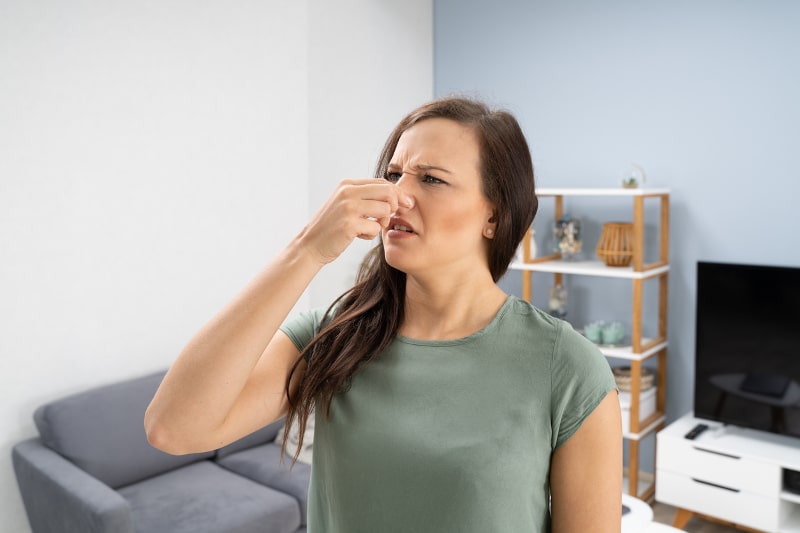 4 Causes of a Musty Smelling AC System in Lakewood Ranch, FL